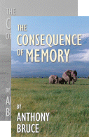 'The Consequence of Memory'.