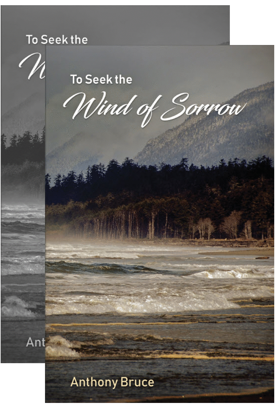 'To Seek the Wind of Sorrow'.