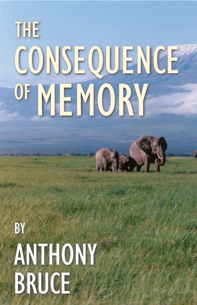 Cover of The Consequence of Memory