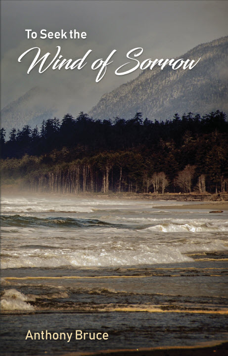Cover of To Seek the Wind of Sorrow